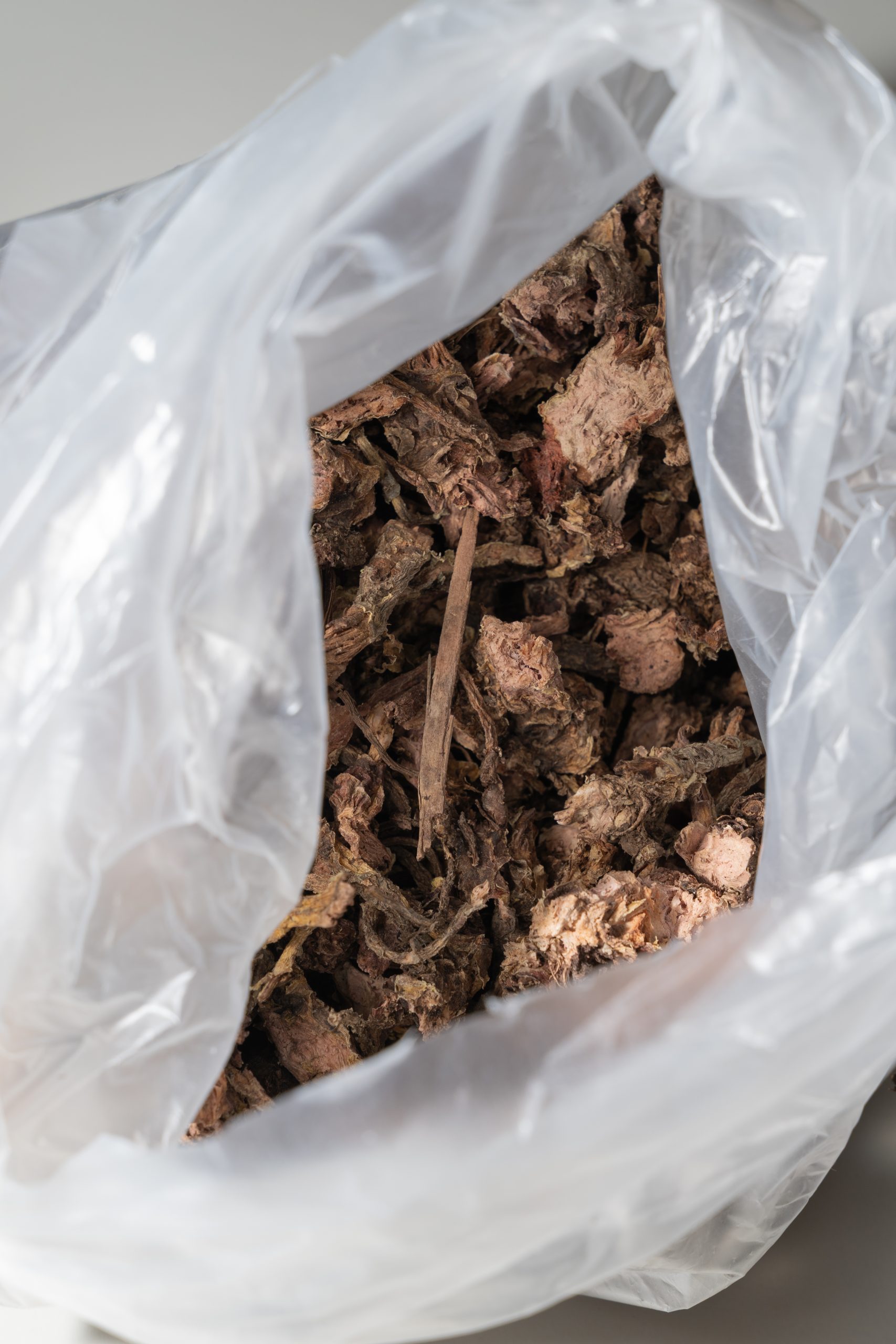 Dried Rhizom